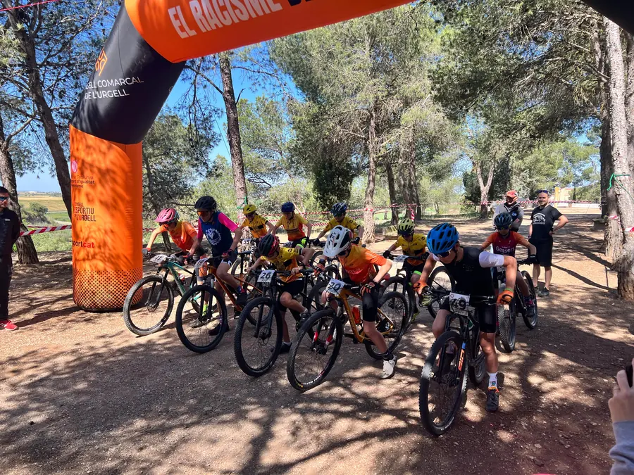 Activitat esportiva destacada del Consell