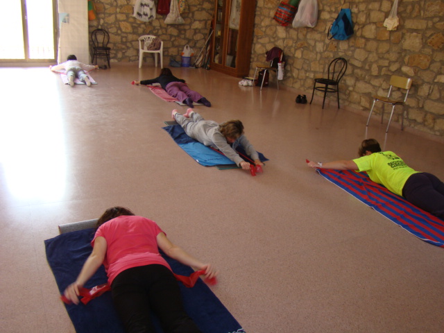 ACTIVITATS DIRIGIDES