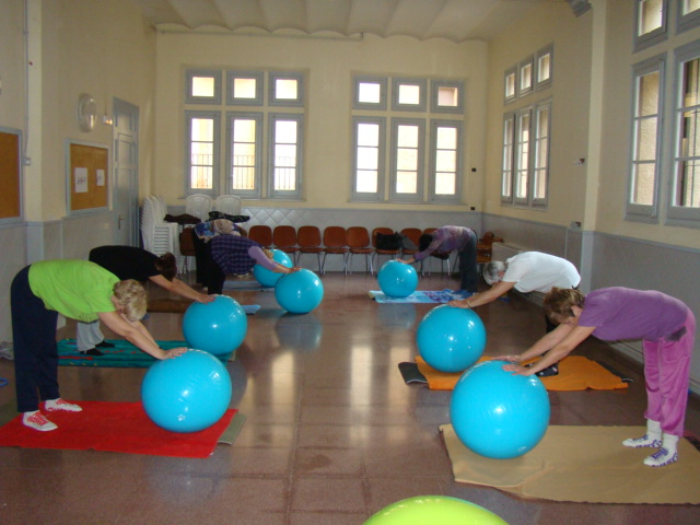 ACTIVITATS DIRIGIDES