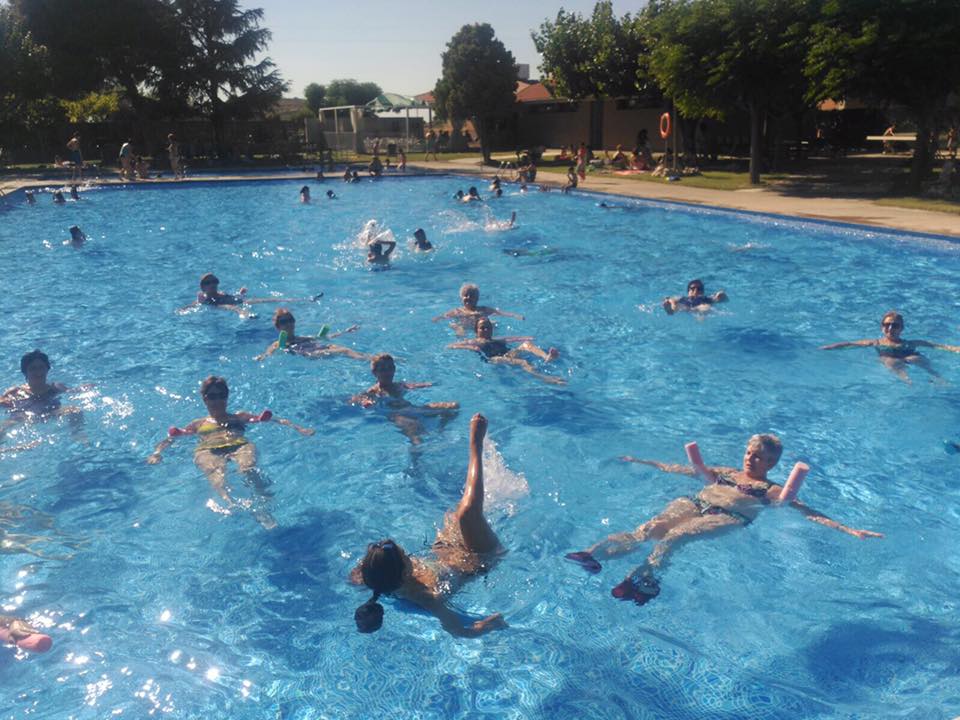 ACTIVITATS DIRIGIDES